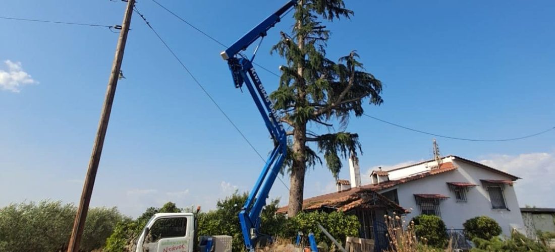 Σέρρες, Garden Center Ντάνος: Αναλαμβάνουμε το κλάδεμα επικίνδυνων δέντρων