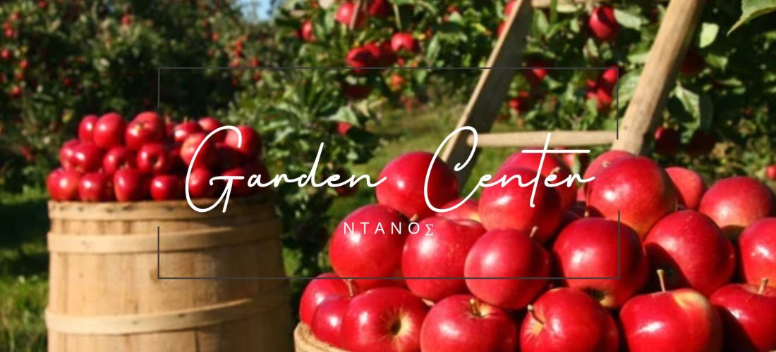 🍏 Φθινόπωρο στο Garden Center Ντάνος: Η ιδανική εποχή για να φυτέψετε τα δικά σας Οπωροφόρα Δέντρα!