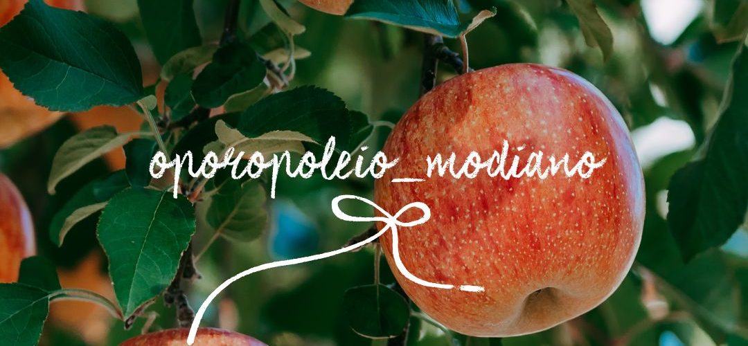 Σέρρες: Back to school με την πιο φρέσκια ενέργεια από «Το Μοδιάνο»!